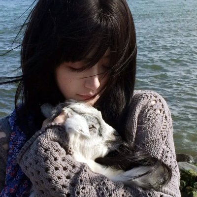 百合的故事